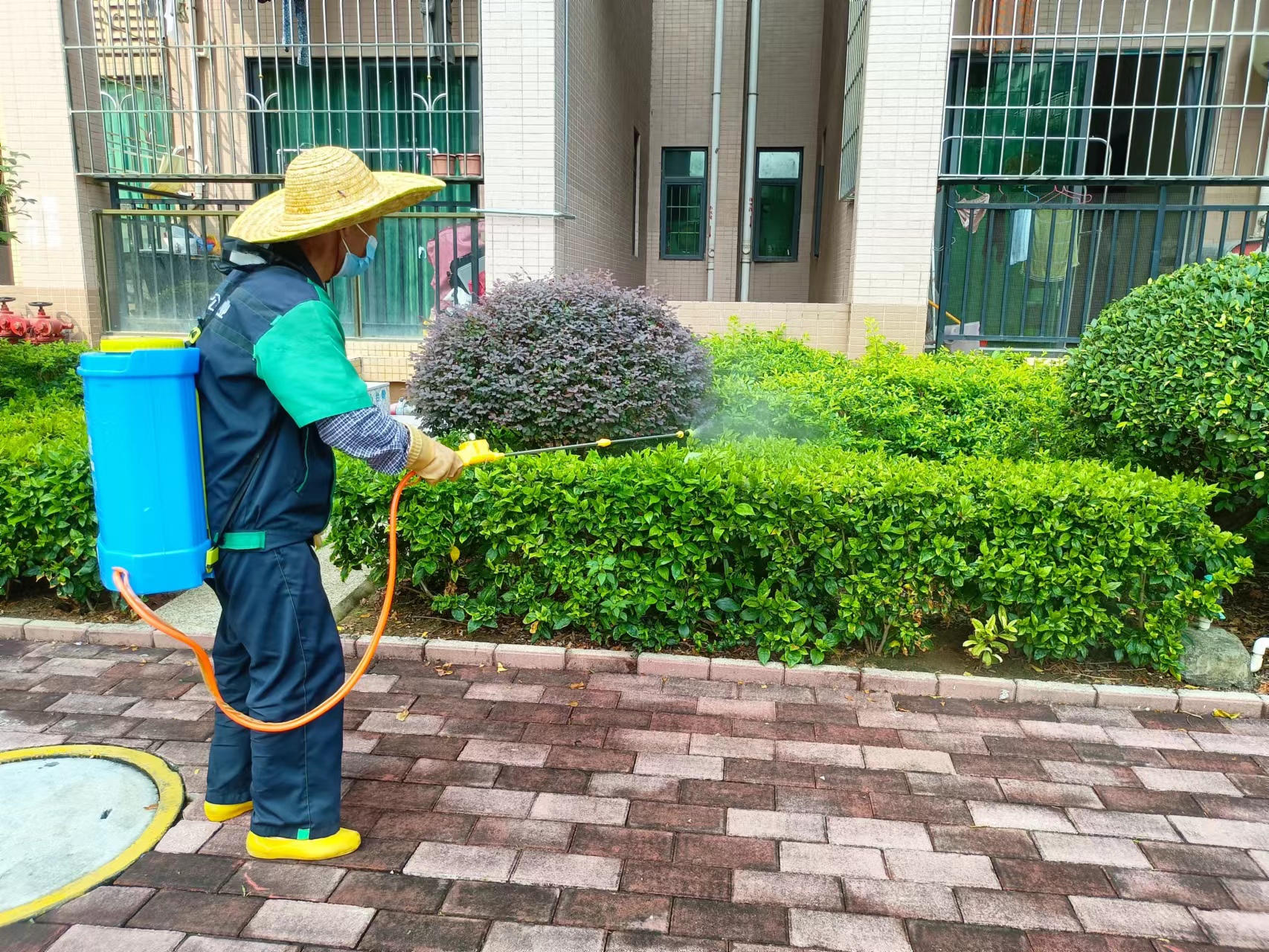 (信息公開20221019綠化消殺除蟲害 提升小區(qū)環(huán)境質(zhì)量-圖一.jpg